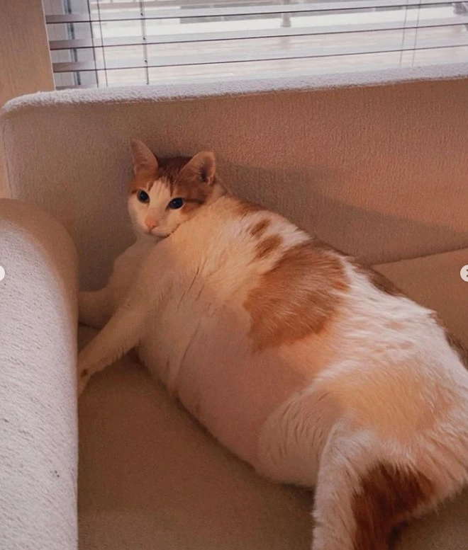 Danla Biliç'i kahreden haber! "Çok erken bıraktın beni..."